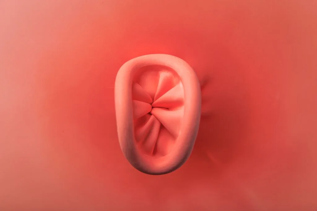 Ventajas y Desventajas del Sexo Anal