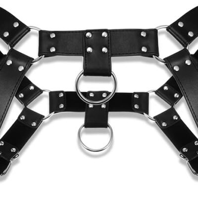 Arnes de Cuero Con Hebilla en el pecho.